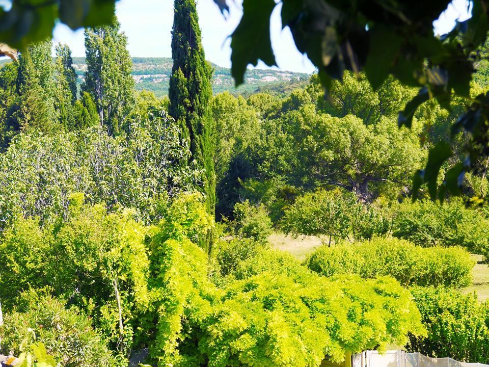 Gites De La Croix Du Gres (Adults Only) Valaurie Esterno foto